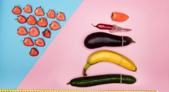 Anatomy of the Penis and How to Use a Penis Size Calculator