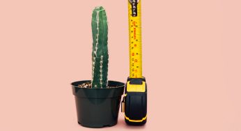 What Is the Most Effective Way to Grow Your Penis?